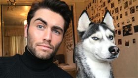 工讀生出來！哈士奇表情太像人　網友大驚