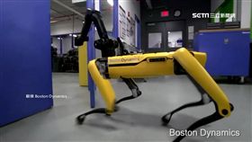 威風！全球首富貝佐斯　遛機器狗登場