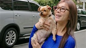 陳美鳳（圖／民視提供）