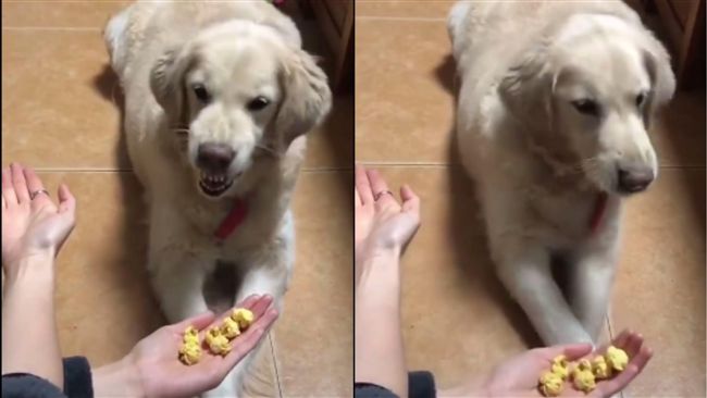阿金玩猜猜零食2選1　猜錯還爆氣