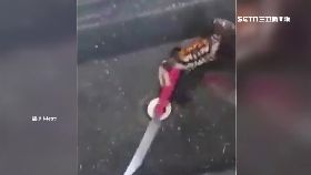 螃蟹耍大.刀1100