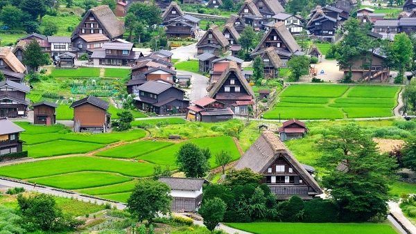日本阿爾卑斯路線！雪之大谷磅礡開山