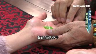 特殊算命法夯　摘片樹葉能一窺天命？