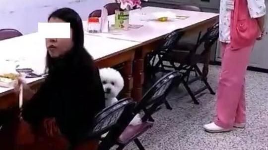 保全阻護理師帶狗進院！主管霸氣回應