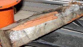 f木頭害爆胎1200