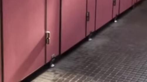 簡姓男大生在體育館女廁偷拍女同學如廁遭起訴。（示意圖，非當事人／翻攝自Youtube）