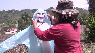 鳳梨遭猴偷吃百株　果農祭奪魂鋸對付