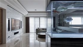 名家專用／幸福空間／魚缸帶財？犯五禁忌不能招財反損財（勿用）