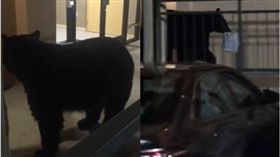 美國,黑熊,熊,旅館,入侵,Kim Vastola　圖／翻攝自臉書