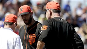 ▲Bumgarner。（圖／美聯社／達志影像）