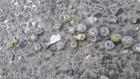 彰化,省道,保險套,包裝,花壇人俱樂部,花壇鄉(圖/翻攝畫面)