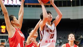 UBA世新林蝶（圖／大專體總提供）