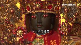 菁埔媽神蹟1800