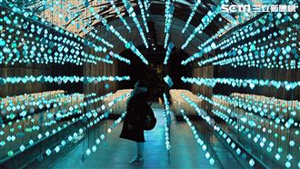 五萬朵LED玫瑰　情侶必訪韓國景點