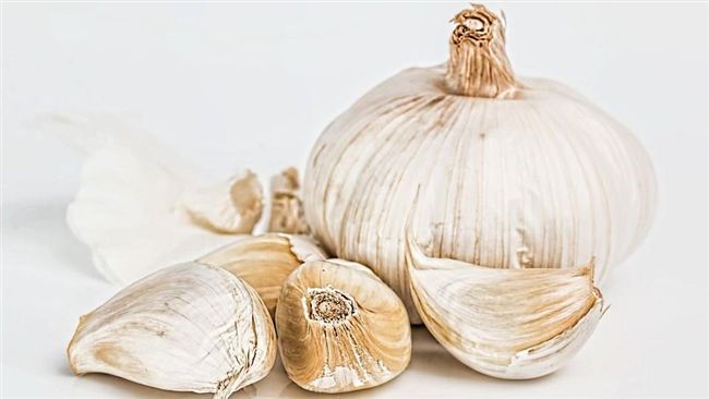 胃潰瘍病患別碰…吃生大蒜恐加重病情