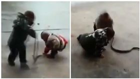 大陸兩名孩童大膽玩蛇（圖／翻攝自梨視頻）