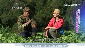 台灣亮起來／動物吃剩才能賣！西寶聚落捨農藥轉有機