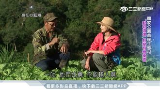 動物吃剩才賣！西寶聚落捨農藥轉有機
