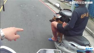 酒駕拒檢還把寵物踹飛　報應立刻來