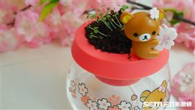 7-ELEVEN,拉拉熊。