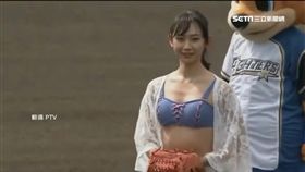 沒穿泳裝別來開球？日職找來寫真嫩模
SOT
棒球,日職,泳裝,比基尼,相澤菜菜子,寫真女星,稻村亞美