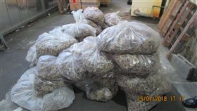 夾藏走私大陸鹿茸  中藥批發商送辦（2）保三總隊第二大隊26日宣布查獲貨櫃夾藏中國大陸進口未檢疫的乾鹿茸切片173.5公斤，市價約新台幣400多萬元，已全數扣押封存，將盡速銷毀；並將貨主43歲的陳姓中藥批發商移送法辦。（保三總隊第二大隊提供）中央社記者程啟峰高雄傳真  107年3月26日