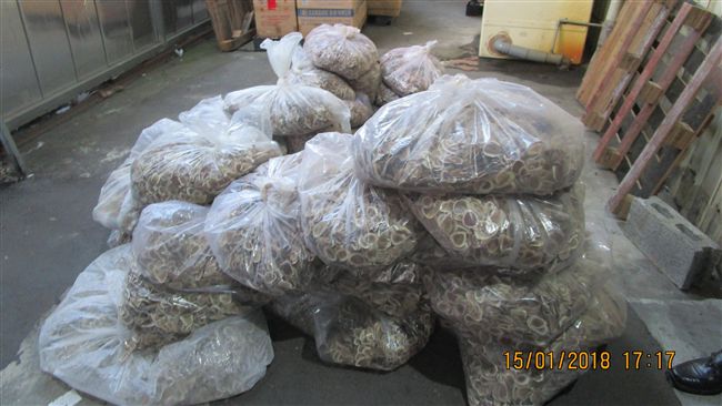 走私百公斤劣質鹿茸　不肖中藥商送辦
