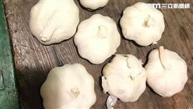 台南,女網友,台南諸事會社,阿婆,蒜頭,寒風