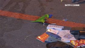 高雄槍戰
歹徒寵物鸚鵡QQ