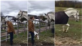  頭套，白馬王子，嚇跑，面具（圖／翻攝自FEEDi臉書)