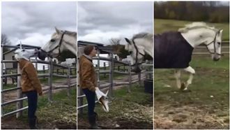 看到卸妝？女拿下頭套「王子」秒嚇跑