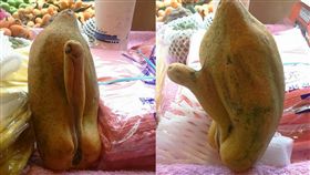 木瓜,姐夫,生殖器（圖／爆廢公社）