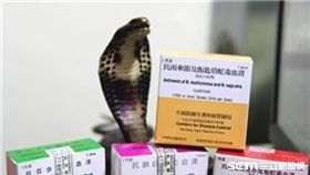 疾管署防疫醫師蘇家彬強調，不幸遭蛇類咬傷千萬不要割開傷口、不用嘴吸出毒液，避免感染、不冰敷，避免組織壞死、不飲酒或刺激性飲料，避免加速毒液作用、不延誤就醫，以免耽誤治療時機。（圖／記者楊晴雯攝）