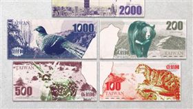 新台幣,改版（圖／翻攝自設計新台幣官網）http://designntd.buzzorange.com/works