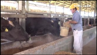 強震重創觀光　兆豐農場部分設施關閉