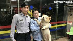 李姓警員在臉書社團《鬆獅大聯盟》看到協尋啟事，晚上巡邏時剛好看到走失的鬆獅犬「胖胖」，隨即將牠帶回派出所，過程中還被「胖胖」咬傷，所幸並無大礙（翻攝畫面）