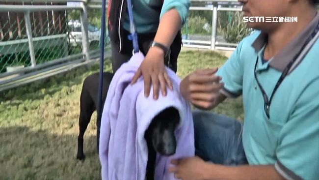 遇惡犬咬人怎麼辦？專家教你保命4招