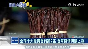 比白銀貴！冰淇淋原料「香草莢」世上第二貴　身價持續上漲