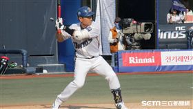 ▲NC恐龍游擊手孫時憲開轟助球隊連勝。（資料照／記者蕭保祥攝）