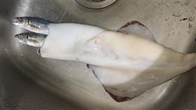 透抽  圖／翻攝自爆廢公社