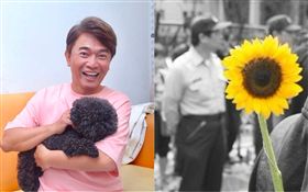 吳宗憲、太陽花 合成圖／記者蔡世偉、林敬旻攝影