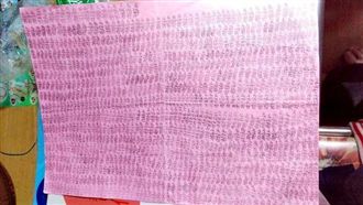 兒罰寫千遍手好痠　家長氣到告學校