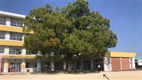 西平在推特上說，他回到大分市參加同學會，卻只有他一人到場。（圖片擷取自西平善二郎推特）