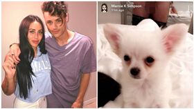 《玩咖日記（Geordie Shore）》女星Marnie Simpson　出賣男友Casey Johnson大鵰照／網路