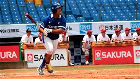 韓國姜白虎（資料照／棒協提供）