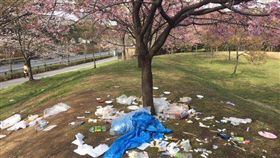 東京都立舍人公園櫻花　圖／翻攝自都立舍人公園推特
