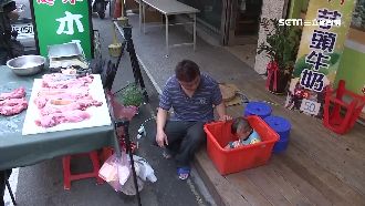 父路邊擺攤賣豬肉　一歲半兒睡塑膠箱