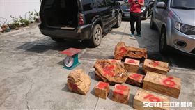 山老鼠遭逮 起出「價值連城」扁柏樹瘤_翻攝畫面