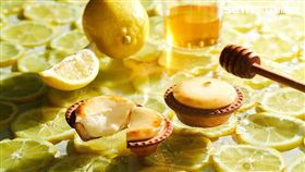 北海道起司塔,瀨戶內蜂蜜檸檬。（圖／BAKE CHEESE TART提供）