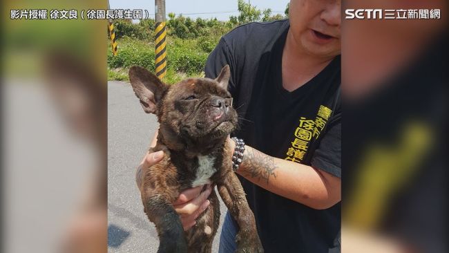 法鬥遭利用完就丟　滿身傷窩水溝角落